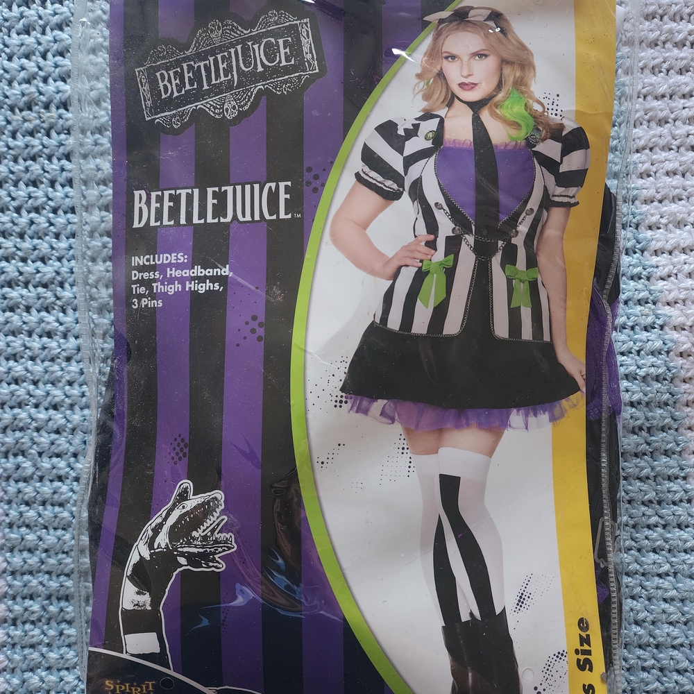 Spirit Beetlejuice Adult Costume - Black, White, Green, Purple